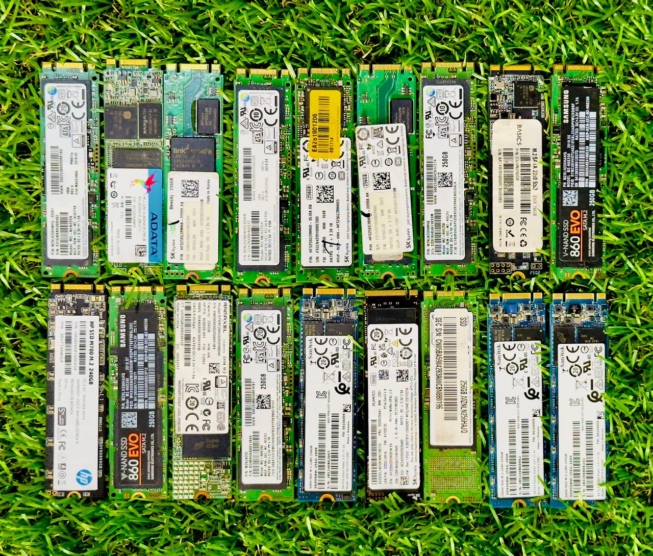 WhatsApp Image 2026-02-26 at 5.05.18 AM